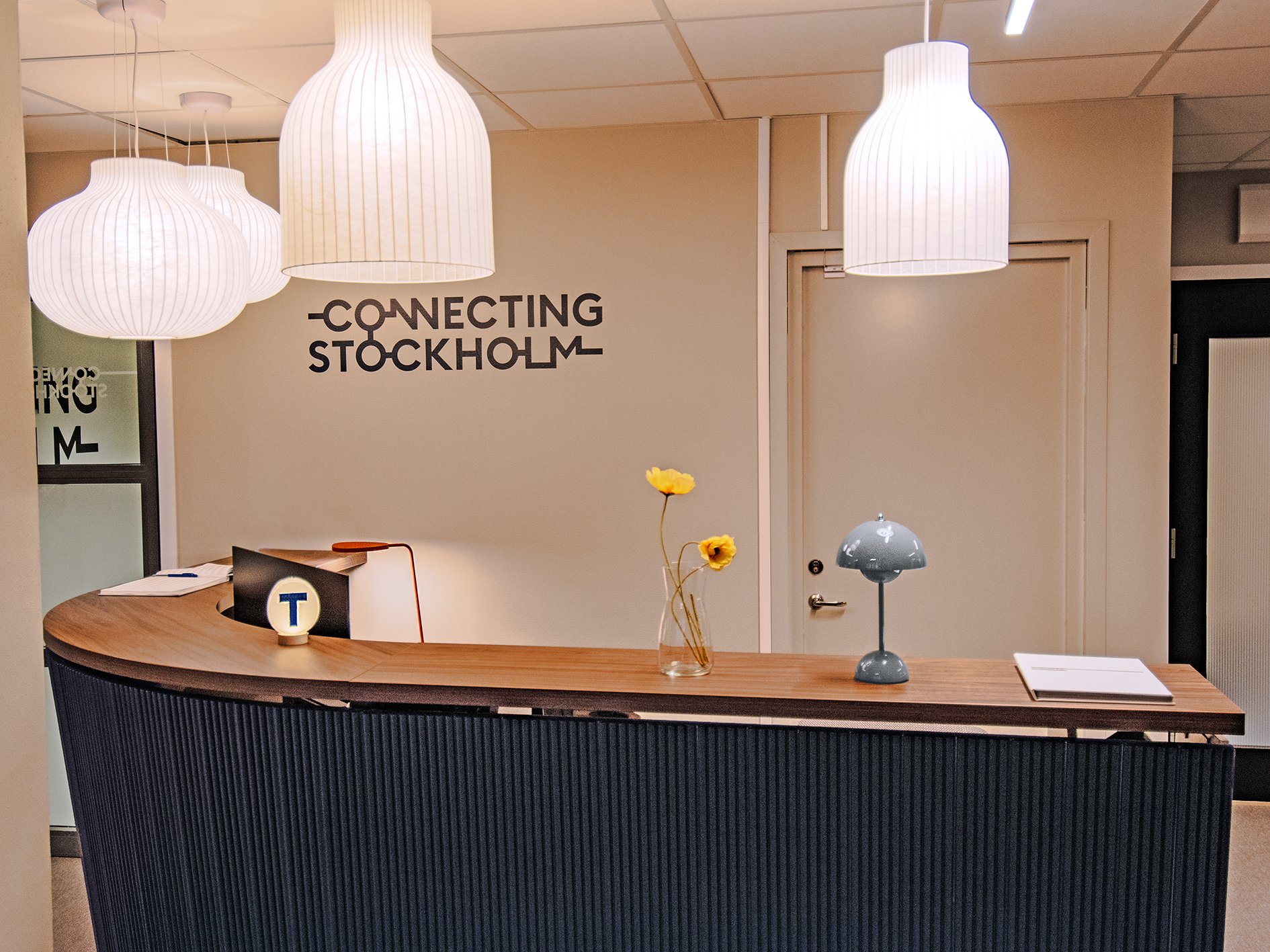 Connecting hemisda_6